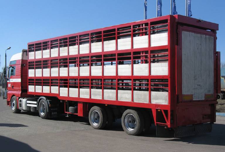 Сколько стоит транспортировать лошадь недорого из Россия, Захарово в Украина, Севастополь